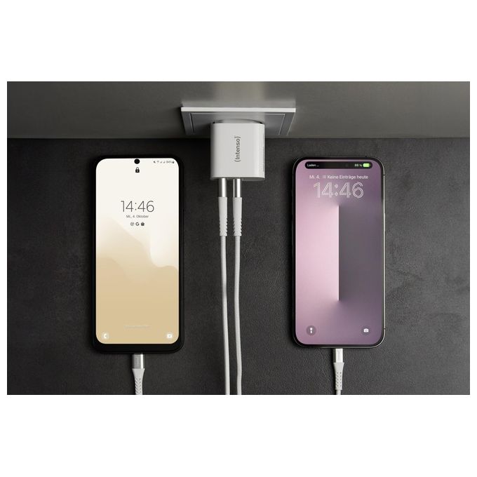 Intenso Power Adapter W24AA Caricatore con 2 Porte USB-A 24 Watt bianco
