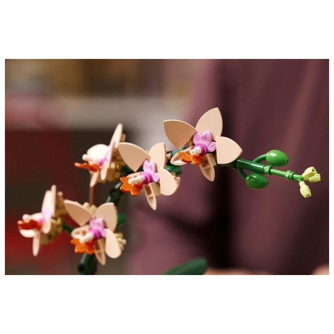 LEGO Botanicals Mini-orchidea 10343