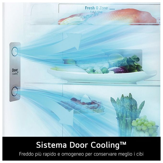 Lg GTF744PZPE Frigorifero Doppia Porta Classe E Capacita' 509 Litri No Frost con Dispenser Acqua colore Inox