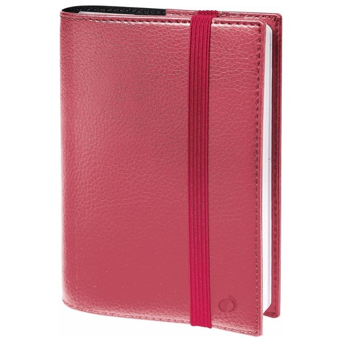 Quo Vadis 615032Q TIMEandLIFE Agenda Settimanale 13 Mesi Dicembre-Dicembre Carta Clairefontaine Bianca Formato 16x24 cm colore Rosa