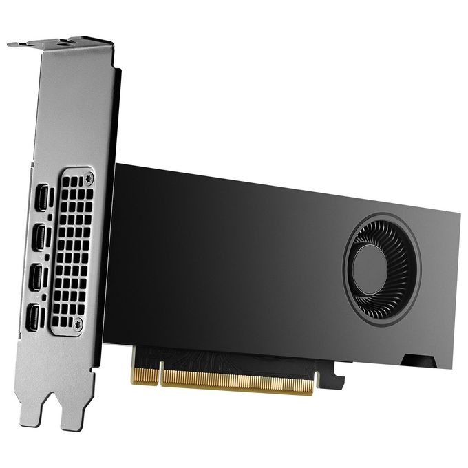 PNY Scheda Grafica 16GB RTX 2000 Ada 4x mDP LP Smallbox (without Adapter)