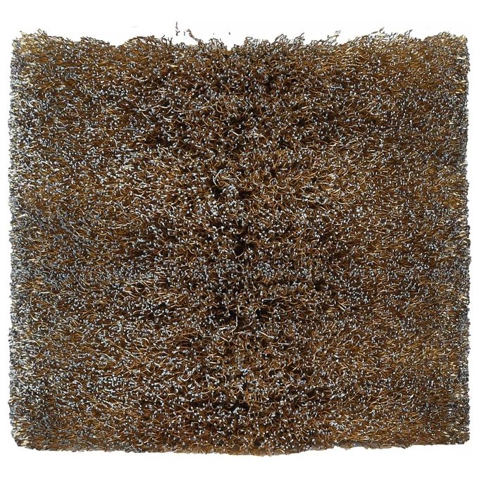 Einhell Spazzola di ricambio per rusticatrice