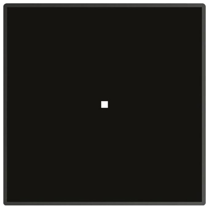 Foster 7366 350 Piano Cottura a Induzione Modulare Quadra in Vetroceramica 1 Zona Touch Control 35 cm Nero