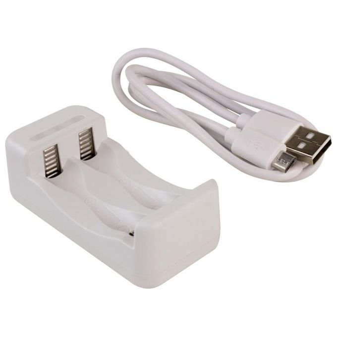 Ansmann Caricabatterie Basic II con 2 x AA 1300mAh