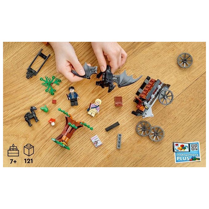 LEGO Harry Potter Thestral e Carrozza di Hogwarts