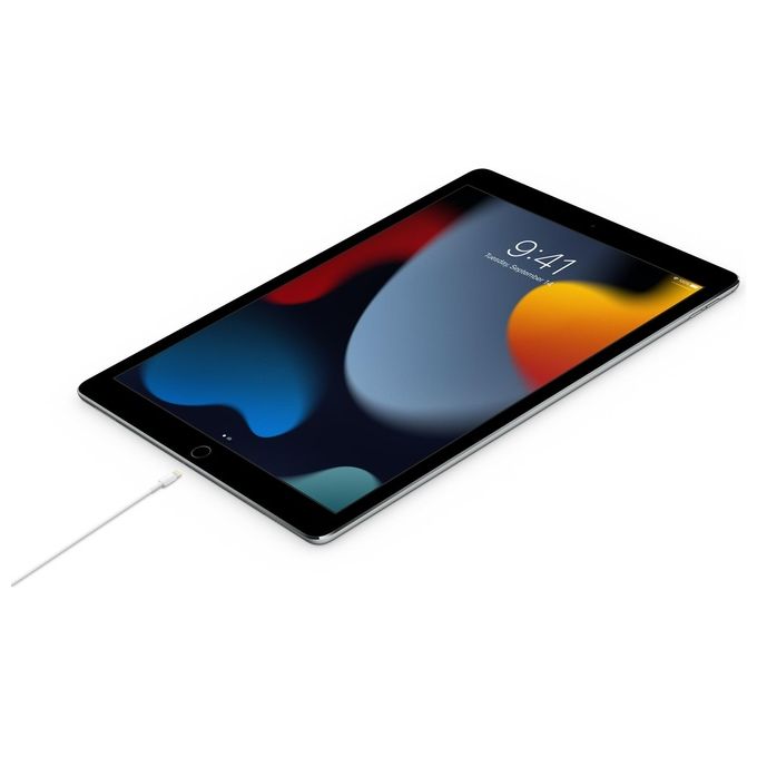 Apple Cavo da USB‑C a Lightning 2mt ​​​​​​​