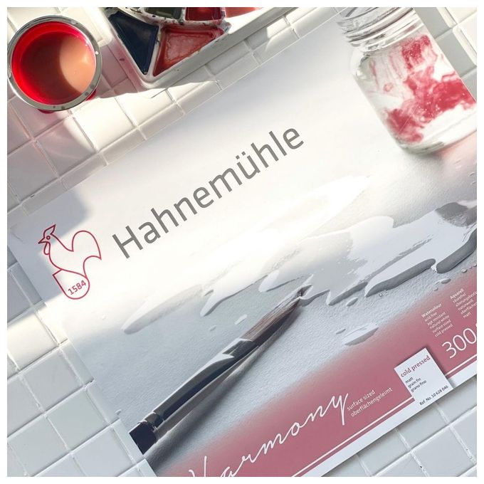 Hahnemuhle Harmony Acquerelli A4 Opaco 12 Fogli 300gr