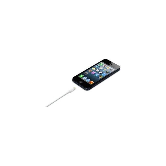 Apple Cavo Da Lightning A Usb 0,5mt