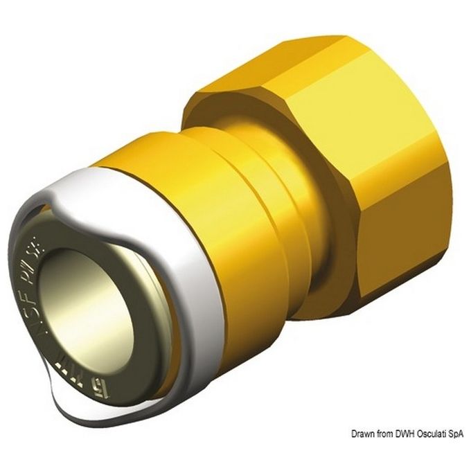 Whale Adattatore 1-2'' BSP ottone Whale