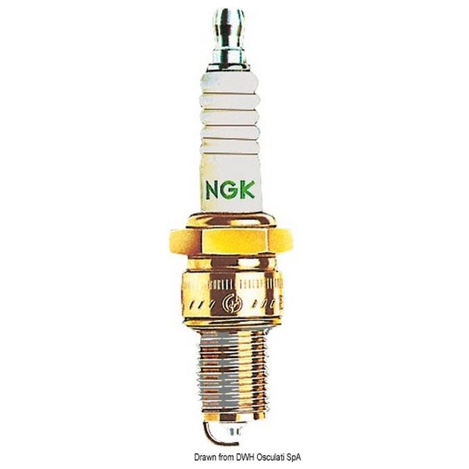 NGK Candela LZFR-6AI per Manutenzione Nautica Supporto Motore Rulli Alaggio e Cavalletti