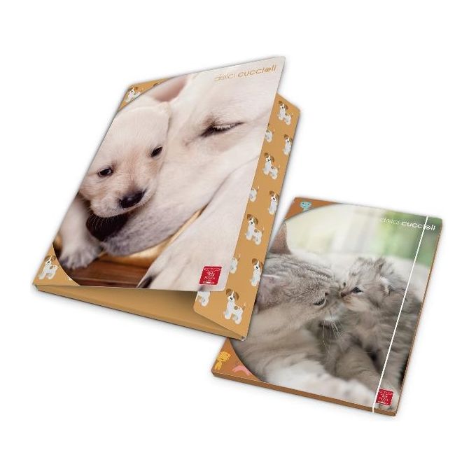 Pigna Confezione 6 Cartellette 3 Lembi Dolci Cuccio D1.2