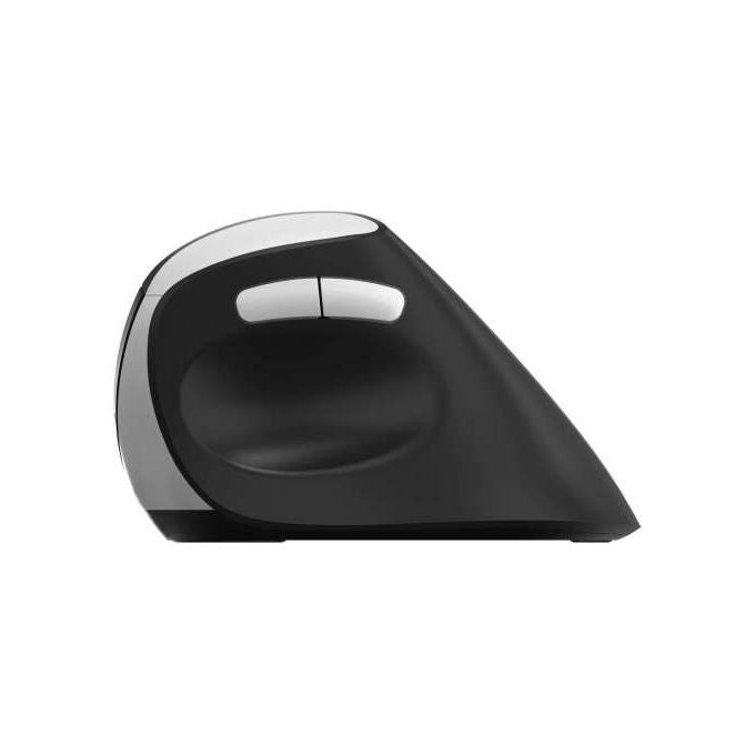 Rapoo 13531 EV250 WIRELESS ERGONOMIC MOUSE Mouse Wireless Ergonomico 1600 DPI colore Nero