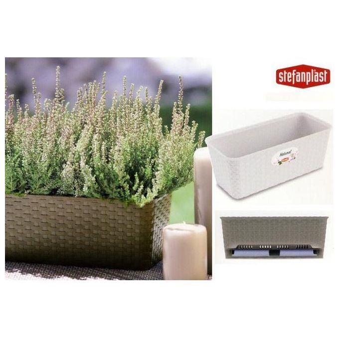 Stefanplast Cassetta Fiori Rattan Ristagno Acqua 30cm Bianco