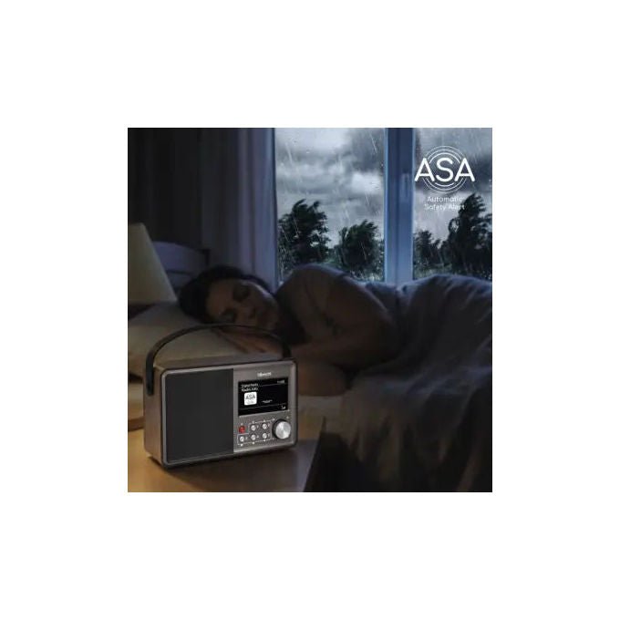 Albrecht DR862 Comfort Radio Portatile Digitale DAB+ FM Bluetooth 5.4 Schermo 4.3'' Potenza 4 W Batteria 4000 mAh Autonomia 15 h colore Grigio Legno