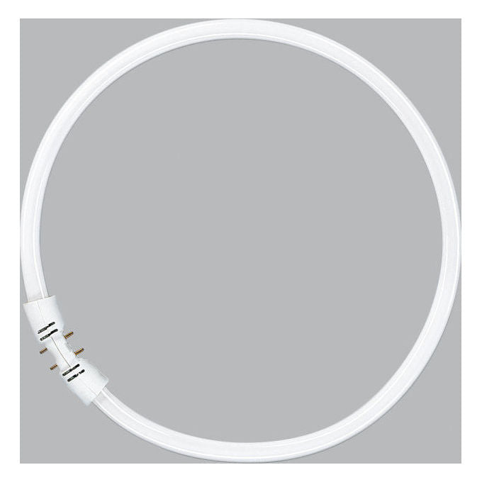 Osram 4050300528526 FC 40 W-840 Lampada LED 39,9 W 3400 lm 4000 K colore Bianco freddo
