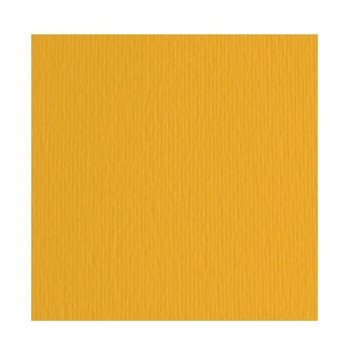 Fabriano Confezione 10 Cartoncini LR Avana 70x100cm
