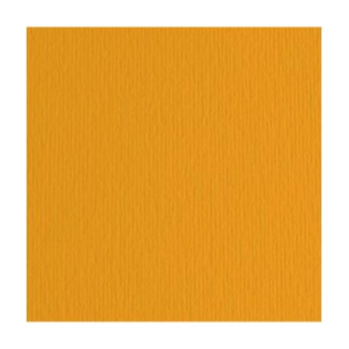 Fabriano Confezione 10 Cartoncini LR Aragosta 70x100cm