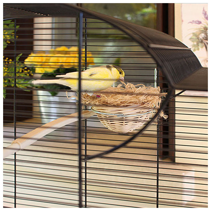 Ferplast Gabbia per Canarini Gabbia Uccelli Esotici CANTO, Gabbietta da Cova Riproduzione con Divisorio e Accessori, 71 x 38 x h 60,5 cm.