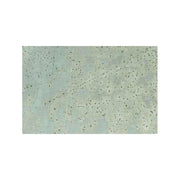 Arcansas Lamiera Liscia Naturale 0,5 mm Spessore 500x400 mm Dimensioni