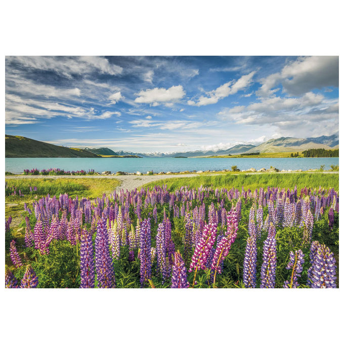 Clementoni Puzzle 1500 Pezzi Lago Tekapo Made in Italy