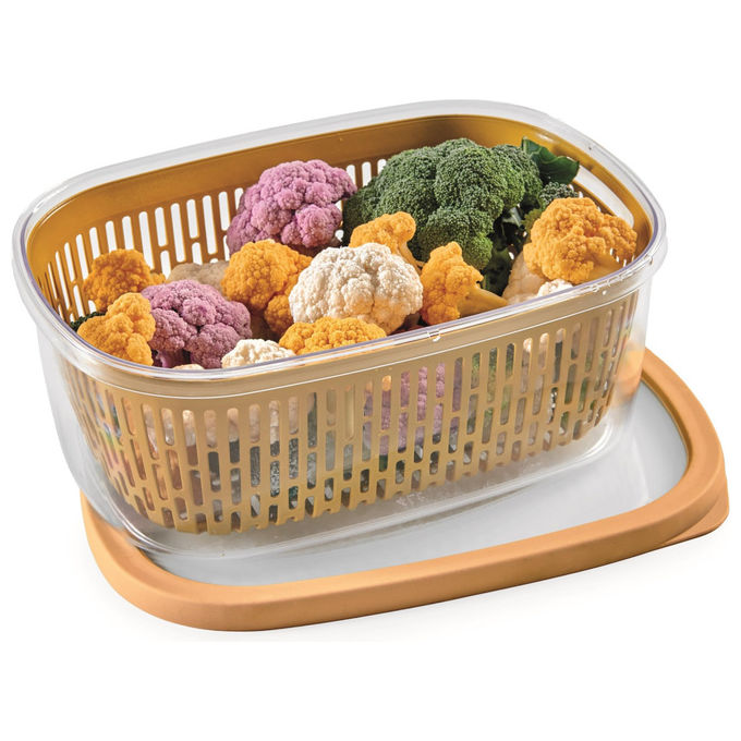 Snips Aroma Keeper 4 LT Contenitore per Alimenti