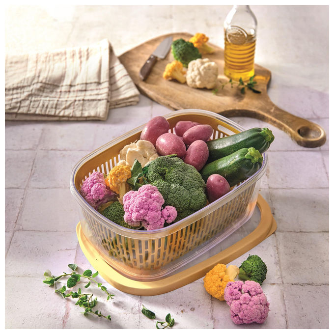 Snips Aroma Keeper 4 LT Contenitore per Alimenti