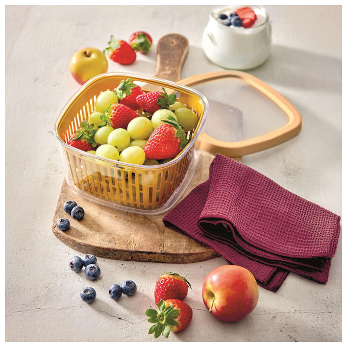 Snips Aroma Keeper 1,5 LT Contenitore per Alimenti