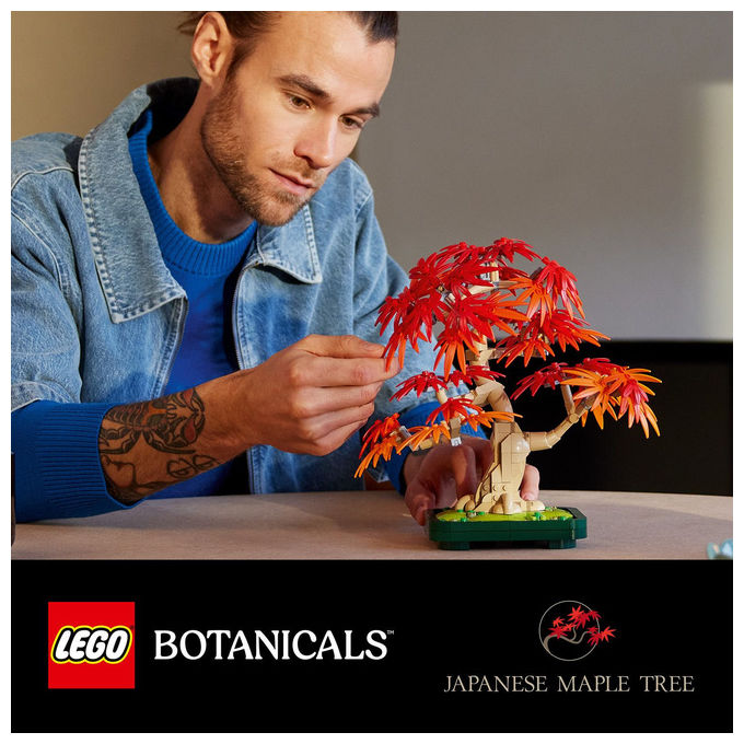 Lego Botanicals Bonsai Acero Rosso Giapponese, 474 Pezzi