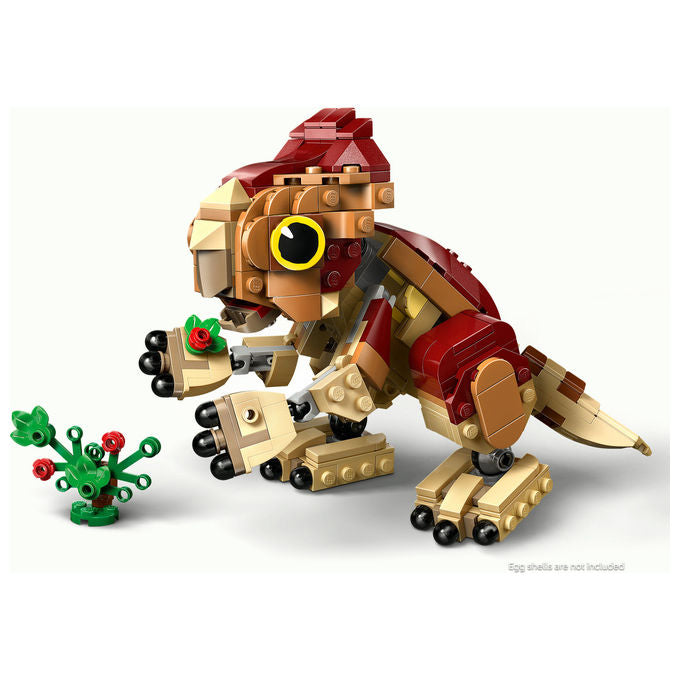 Lego Jurassic World Dinosauro Cucciolo Aquilops