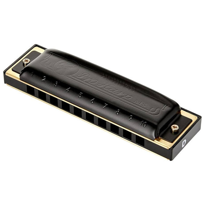 Hohner Armonica Diatonica Pro Harp D Major Corpo in Plastica