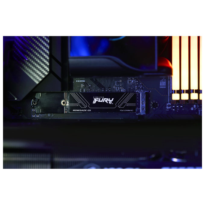 Kingston Technology SSD 2TB Fury Renegade G5 M.2 NVMe PCIe 5.0