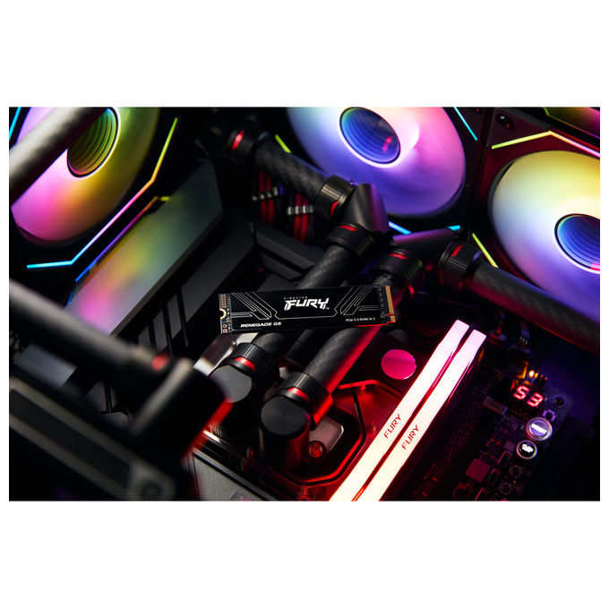 Kingston Technology SSD 2TB Fury Renegade G5 M.2 NVMe PCIe 5.0