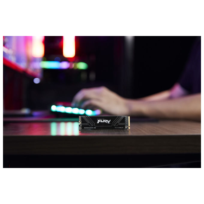 Kingston Technology SSD 2TB Fury Renegade G5 M.2 NVMe PCIe 5.0