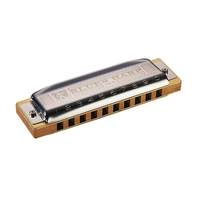 Hohner Armonica Diatonica Blues Harp Si Maggiore 10 Fori con Custodia