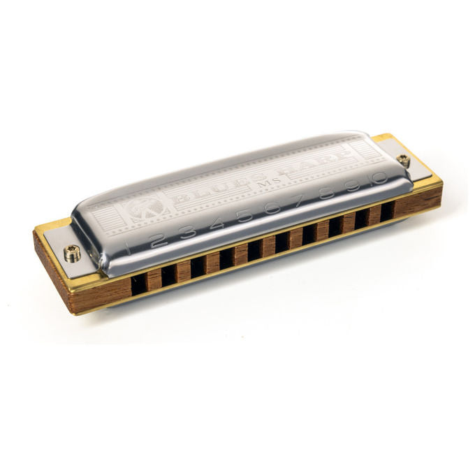 Hohner Armonica Diatonica Blues Harp Tonalita' E 20 Voci Custodia Inclusa