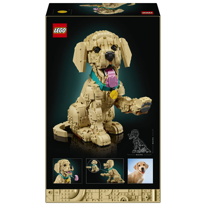 Lego, Cucciolo di Golden Retriever, Icons, Set Costruzioni, 2102 Pezzi, 11384