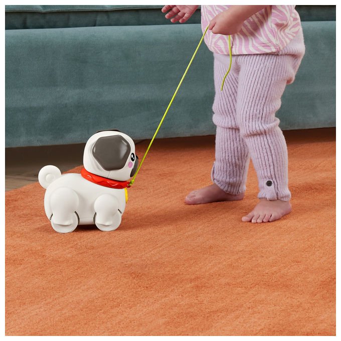 Fisher-Price Carlino Cammina con Me Giocattolo educativo per bambini +1 anno Multicolore