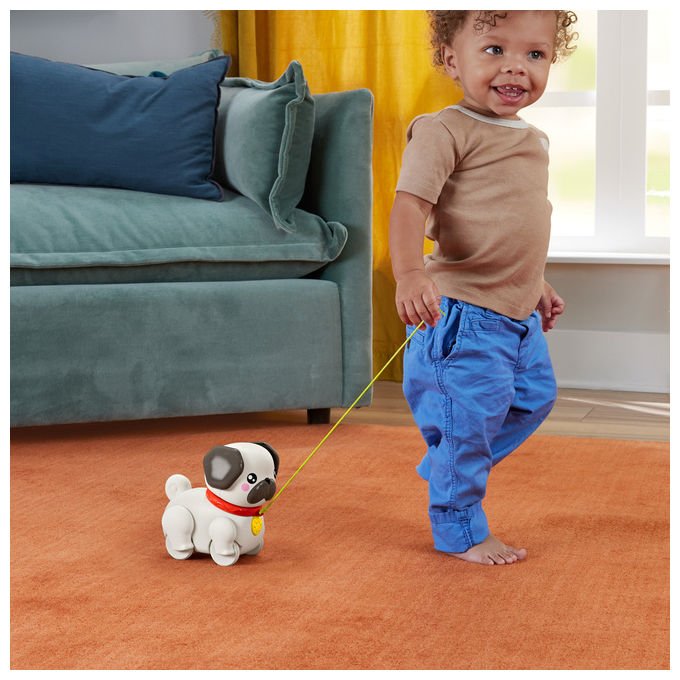 Fisher-Price Carlino Cammina con Me Giocattolo educativo per bambini +1 anno Multicolore