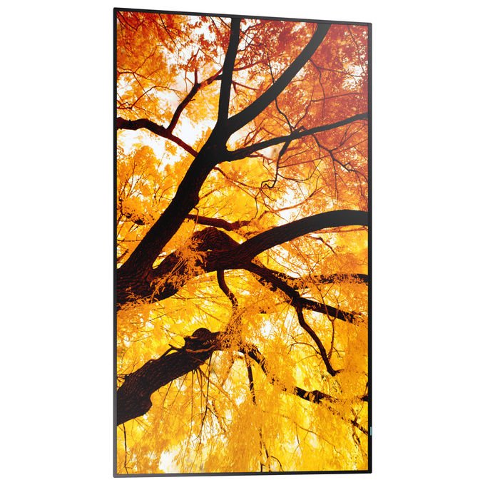 Sharp MultiSync M552 Pannello per Segnaletica Digitale 55 pollici LCD 4K Ultra HD Nero