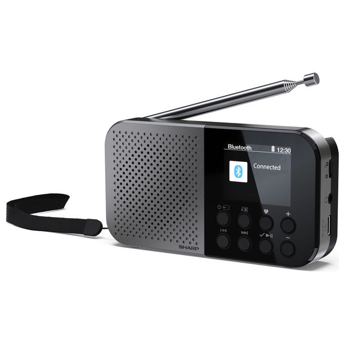 Sharp Radio Digitale Portatile DAB FM Grigio