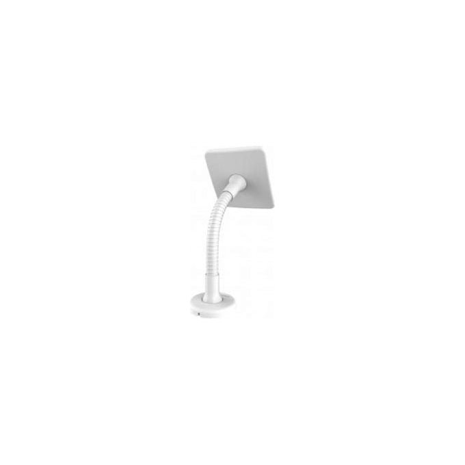 Compulocks, Supporto Tablet con Braccio Flessibile VESA, Bianco, Acciaio, Kiosk da Tavolo-Pavimento