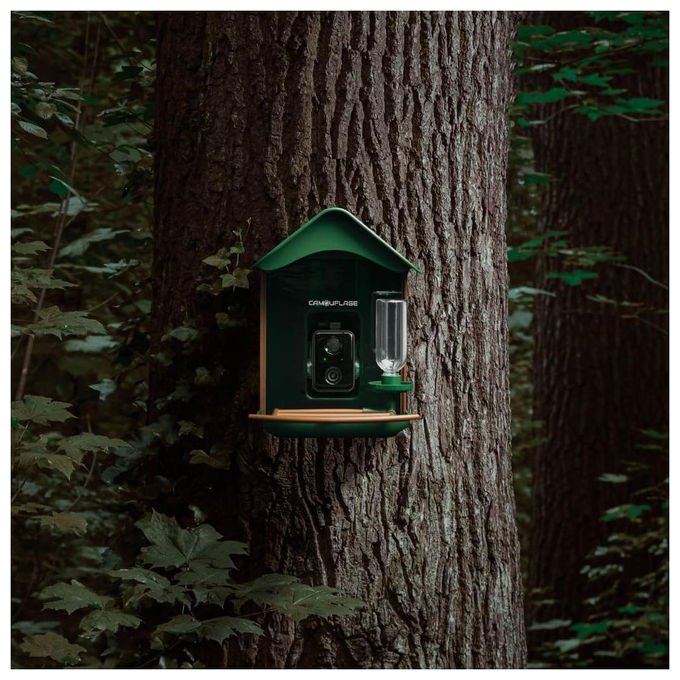 Camouflage, Mangiatoia Uccelli WiFi, Telecamera HD, Visione Notturna, Rilevamento Intelligente, EZ Birdfeed