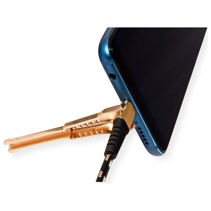 Roline, Cavo USB 2.0, 1 m, USB A a USB C, Nero e Oro