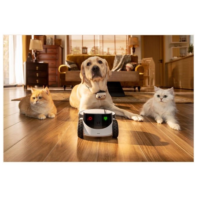 Enabot Rola Petpal, telecamera robot interattiva per animali domestici e bambini, Full HD, bianca