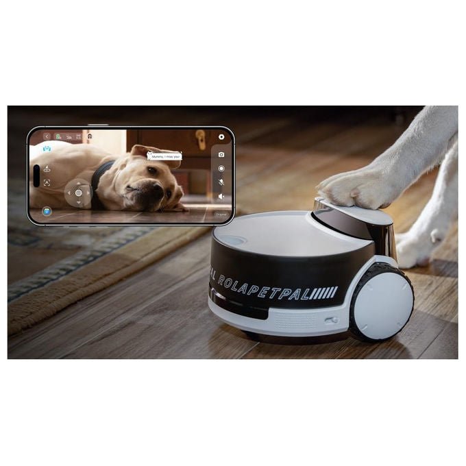 Enabot Rola Petpal, telecamera robot interattiva per animali domestici e bambini, Full HD, bianca