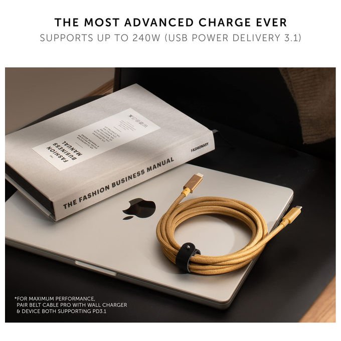 Native Union cavo USB-C Belt Pro, 2,4 m, 240W, ricarica ultra-rinforzata, Kevlar, LED, compatibile iPhone 16, MacBook, iPad, zebra