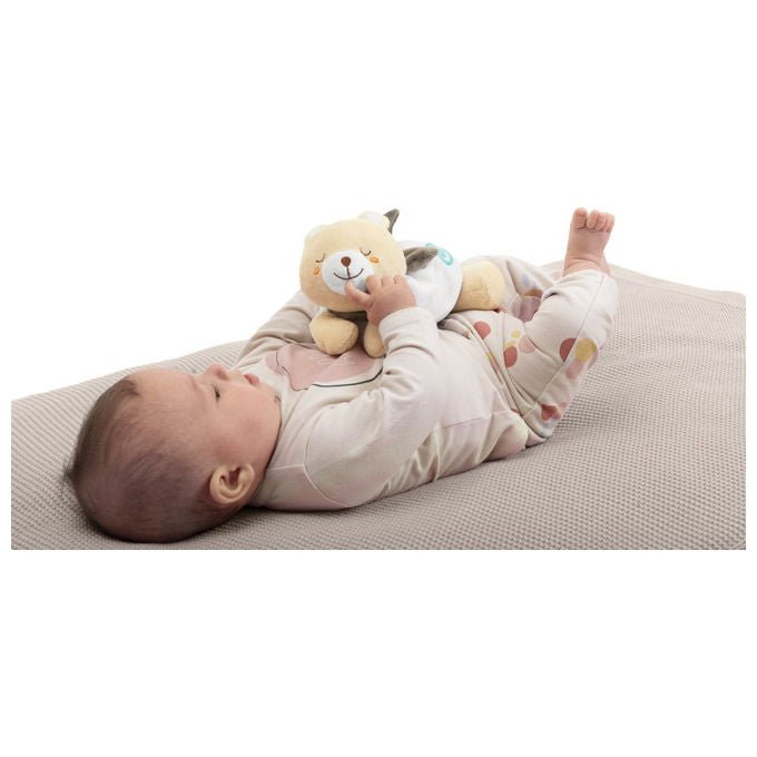 Chicco 00012160000000 Orsetto Warm Cuddle Peluche Scaldabile Sacchetto Sale Naturale Lavabile colore Multicolore