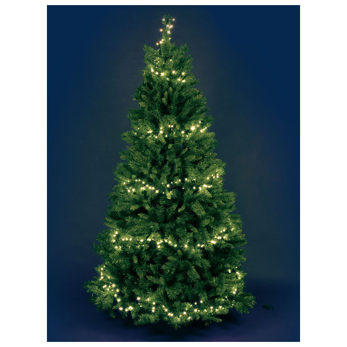 Lotti 34808 Catena Nastro Minicluster 1000 LED Bianco Caldo 5mm 8 Giochi Timer 20,5 m colore Verde