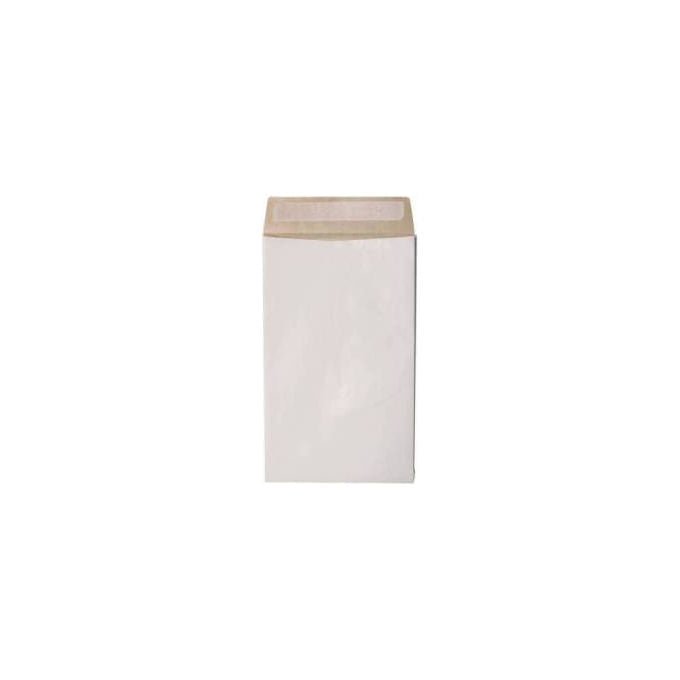 Blasetti Secursac Sacchetti per Spedizione Antistrappo Formato D3 30x40x4 cm 130 gr Triplo Strato Chiusura Autoadesiva Confezione 100 pezzi colore Bianco