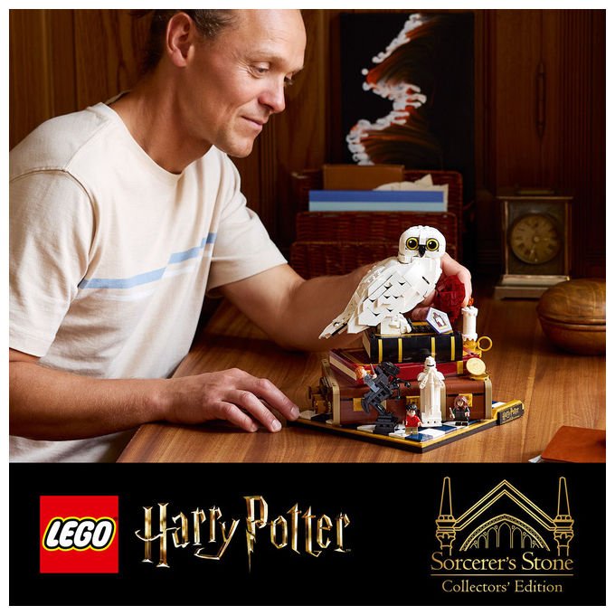 LEGO, Harry Potter 76466 Pietra Filosofale Edizione del Collezionista, Set da Collezione, 1571 Pezzi